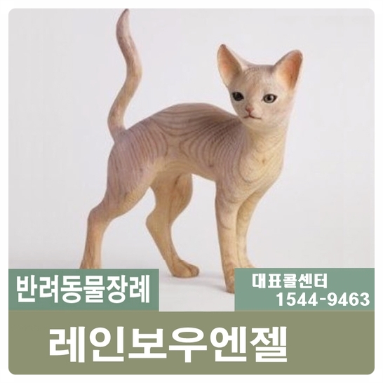 고양이장례 고양이화장 꼭 확인해봐야 할 것들!!