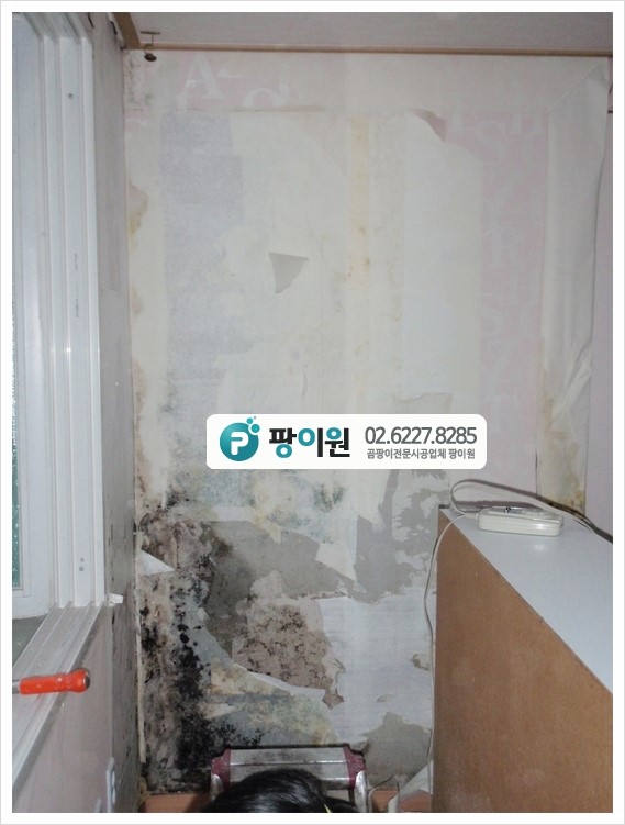  빌라 벽 곰팡이제거? 결로가 문제!