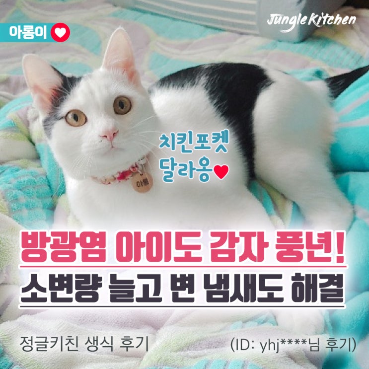  방광염과 IBD, 혈변 등 장기 급여로 질환이 개선된 후기! - 총 5편 스페셜