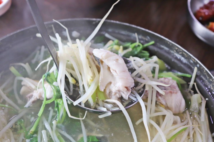  학장 밥집 찾다가 오게 된 인생 복국!