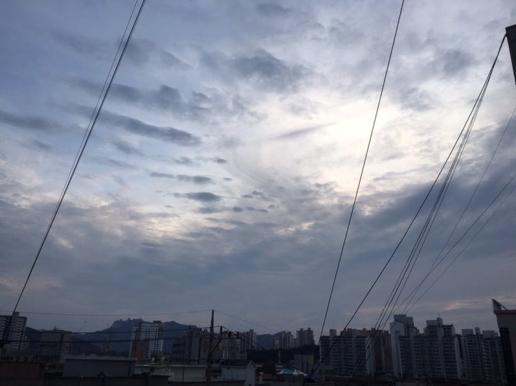  하늘사진 보러오세용(두번째)