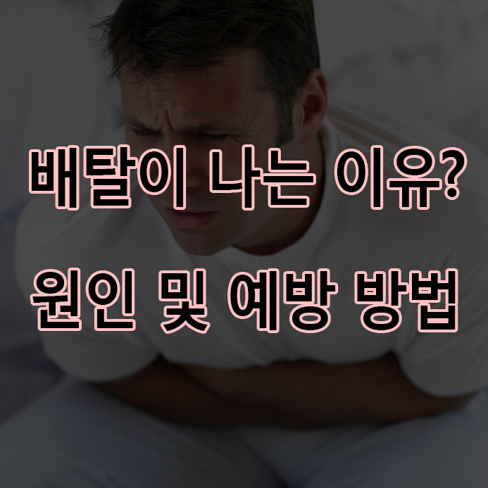 배탈이 나는 이유와 예방 방법에 대해 알아보자! 배탈의 원인 및 해결방법