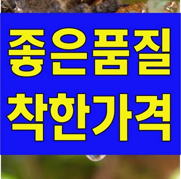  보스웰리아 가루 효능 추천, 파는곳의 부작용 안내