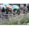  13호 태풍 '링링', 서울 강타 우려.."비상체계 가동"
