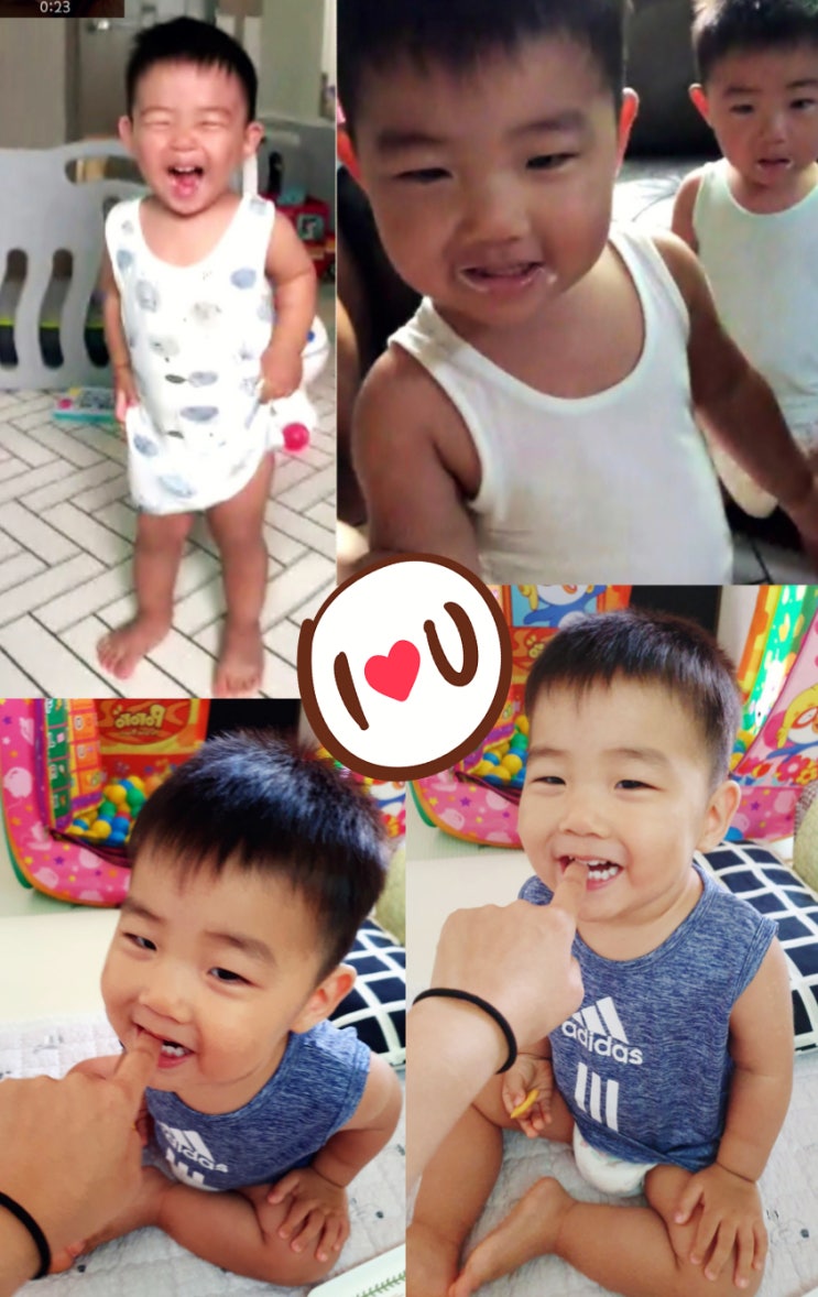  코코냥 조카바보 만드는 사랑둥이 & 인연