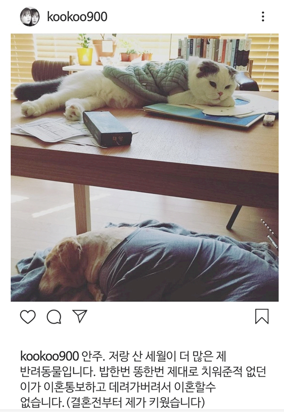 구혜선 안재현 디스패치 문자 디지털 포렌식·…오연서 김슬기 안주… 구혜선 안재현 디스패치 문자 디지털 포렌식·…오연서 김슬기 안주…