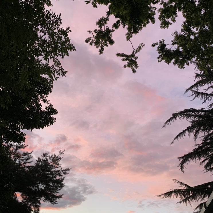  0905,Tur