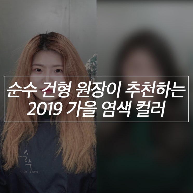 [2019가을염색추천]순수 건형원장이 추천하는 2019 풜~시즌 컬러 추천!