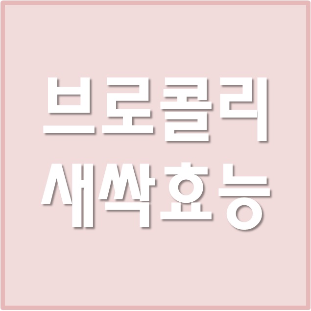 브로콜리새싹분말 효능 & 부작용 및 제품 추천