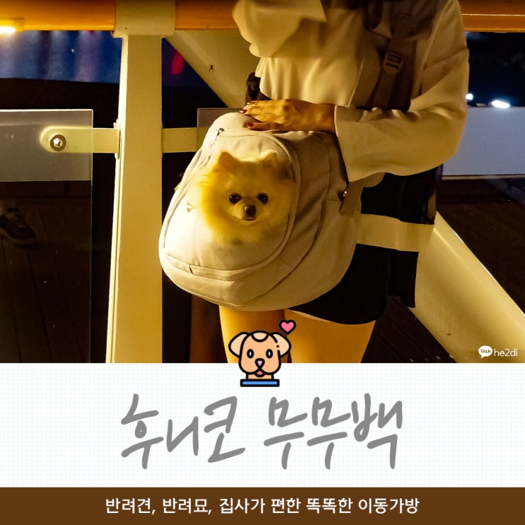  후니코 무무백 | 강아지 이동가방중에 독보적으로 좋네요