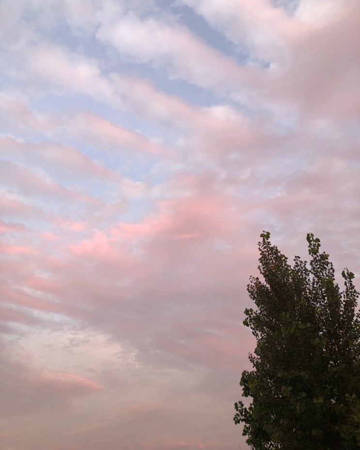  2019. Sep (1)