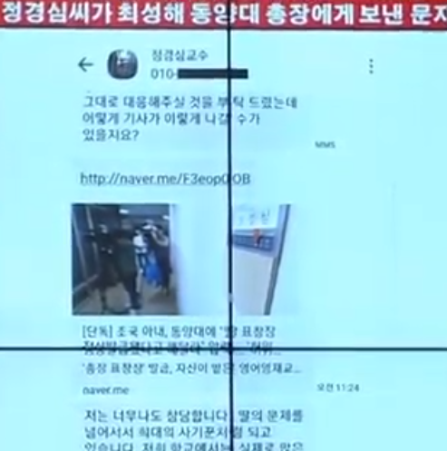  김도읍 조국 부인 문자