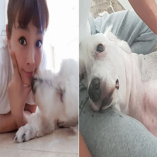  김원희반려견투병 준비되지 않은 이별ㅠㅠ