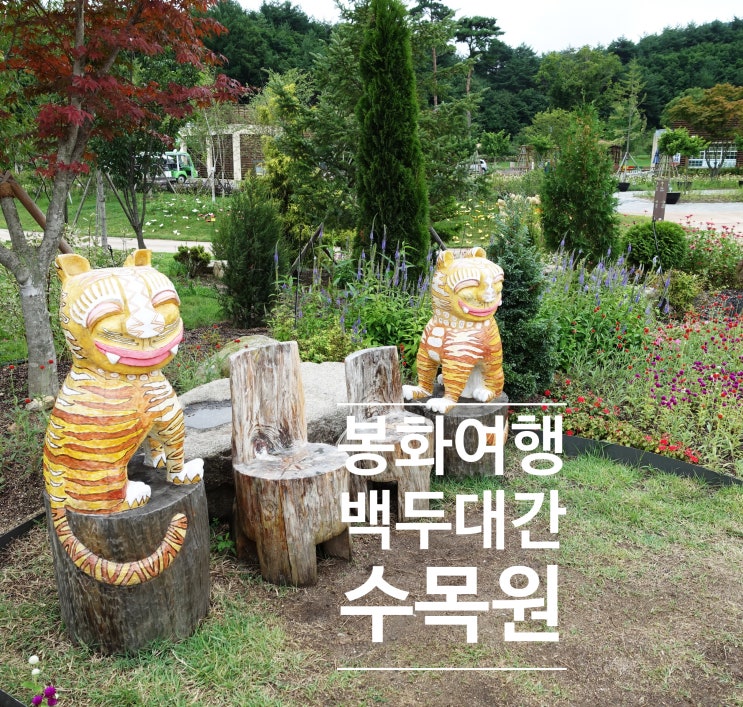  봉화 백두대간수목원 백두산 호랑이 봉화여행 추천코스
