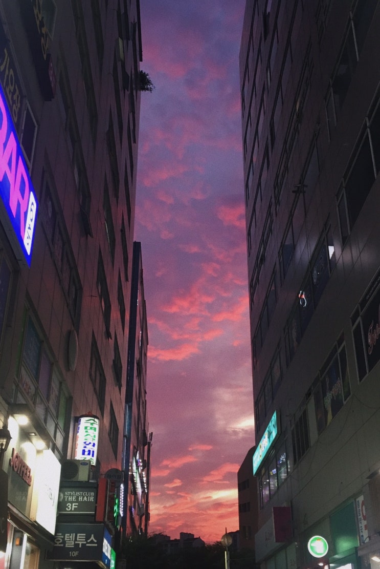  하루 종일 비가 내리겠고 나는 맑겠습니다.