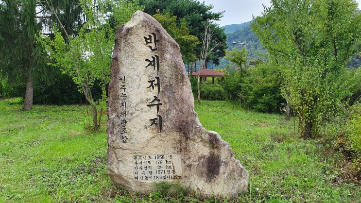  원주 반곡 저수지 수변생태 공원 나들이