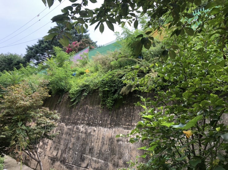  장위중학교 예초대행