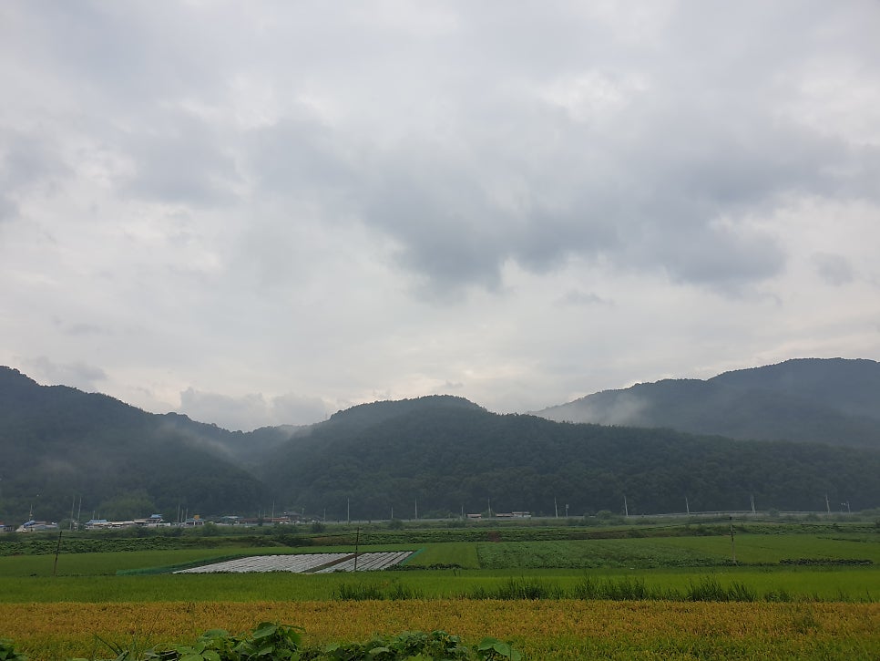 솔비골 사진 2