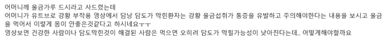  담낭암에 울금이....