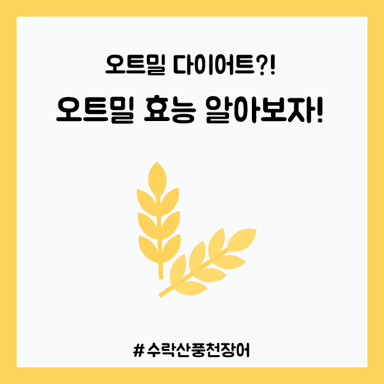  탄수화물은 적고 식이섬유는 풍부한 오트밀 효능 알려드려요!
