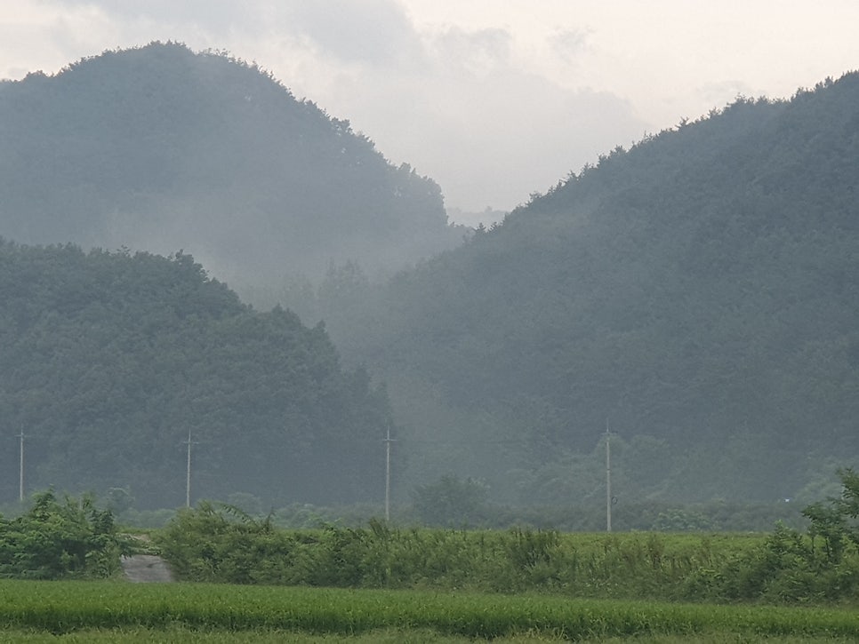 솔비골 사진 3