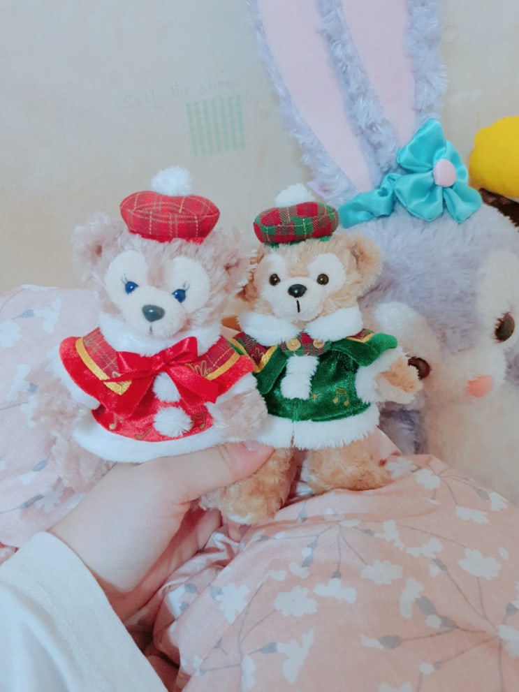  2019 상반기 일상