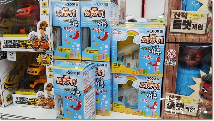  다이소 씨몽키 애완용바다새우 키우기 해봤어요 [B to K]