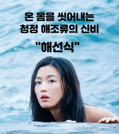  [꿀피부 프로젝트] 청정 해조류로 만든 해선식으로 체내 독소를 제거하면 피부와 몸에 물이 오른다