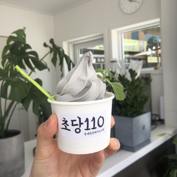  [초당110] 강릉 초당두부아이스크림 맛선택 꿀팁(순두부vs흑임자)