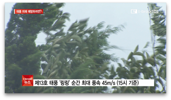  [세종]강풍 동반 태풍 '링링'..피해 예방하려면?