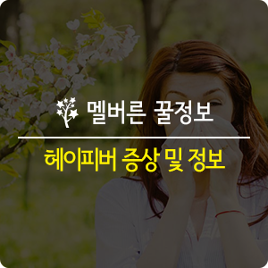  [멜번정보] 호주 멜버른 정보: 재채기와 콧물이 멈추지 않아요! 헤이피버(Hay fever) 증상 및 알아두면 좋은 정보