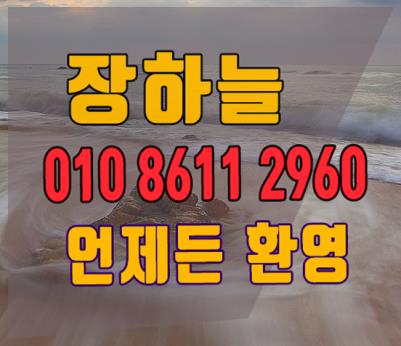  마포 이태원 합정 구로 청담 화곡 신월 교대 서초동 천호 셔츠룸 조카뗘포서 :)