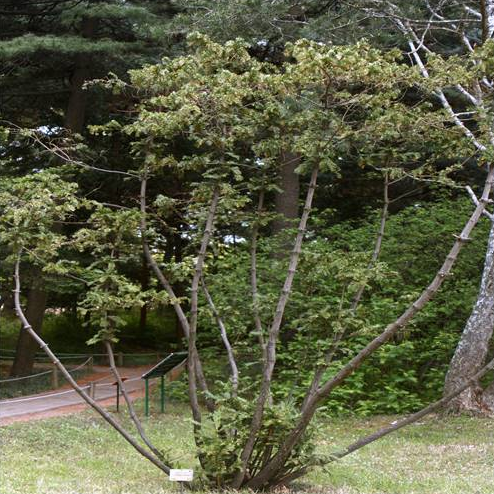  인터스텔라재개봉한 스텔라’, ‘인터 2년 영화  만에  무었하나 쉬운건 없지