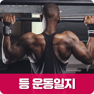  등 운동일지