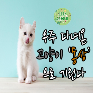  [뉴스체크] 우주 다녀온 고양이 '동상'으로 기린다