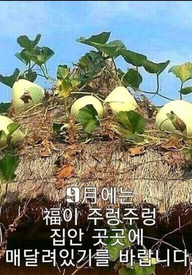  링링에 강력한 태풍이 한반도에 ...
