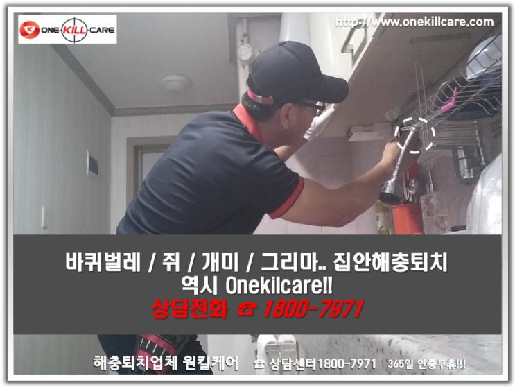  칠곡바퀴벌레퇴치!! 전문기술력과 양심적인 서비스 원킬케어로 철벽방어~!!