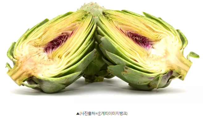  꽃봉오리 아티초크, 대장암 예방하는 음식이라는 별명 얻을 만한 아티초크 효능은?