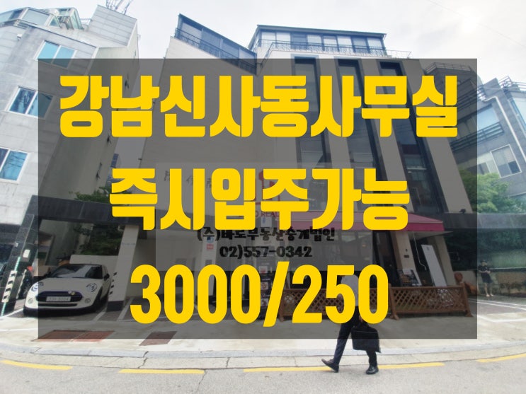  강남신사동사무실