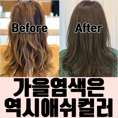  판교미용실 문별 디자이너 만나 거지존 탈출