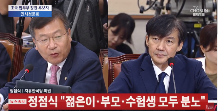  정점식, 조국 청문회