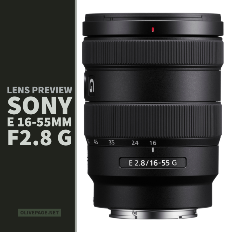 올페의_렌즈_프리뷰_SEL1655G.