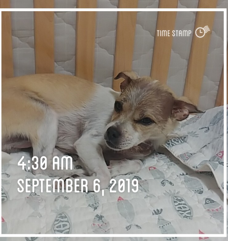  9월6일미라클모닝