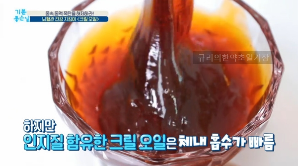  크릴오일 효능