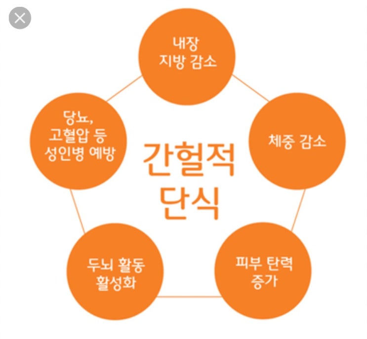  [애플짐목동]간헐적단식