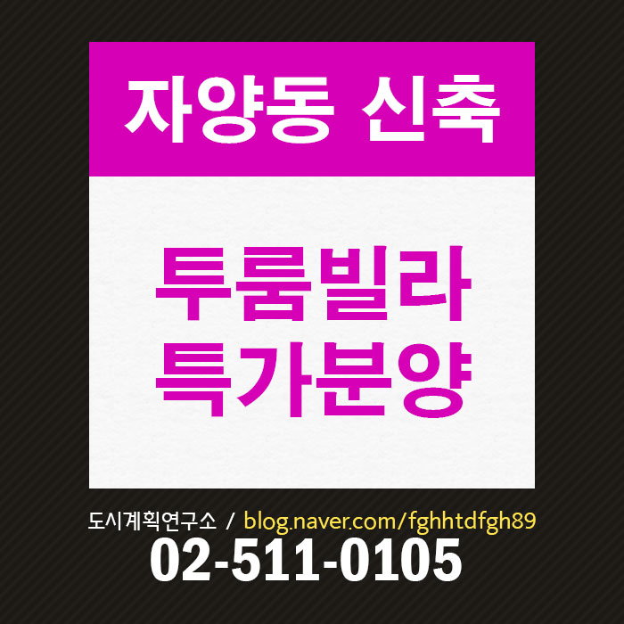  자양동 신축2룸 매매, 2호선/7호선 투룸빌라 매매