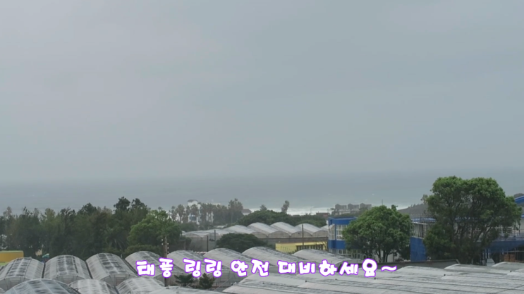 13호 태풍 링링 제주도 서귀포 now, 태풍 실시간 위치