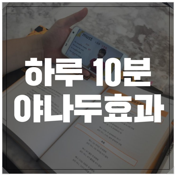  야나두 효과 좋았던 나의 인강추천!