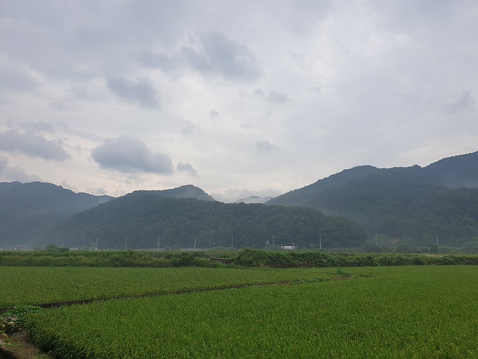 솔비골 사진 1