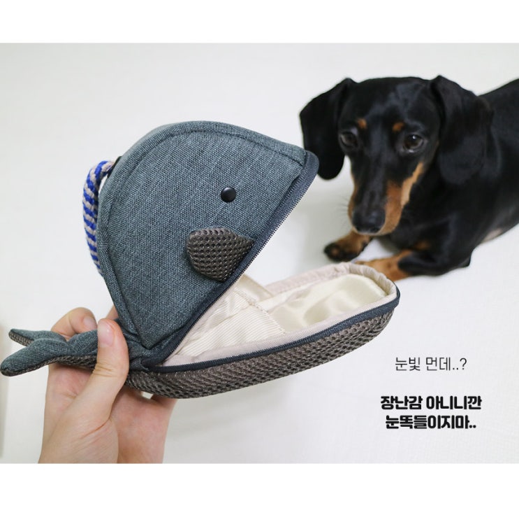  가볍게 들기 좋은 캐논 카메라 가방 파우치